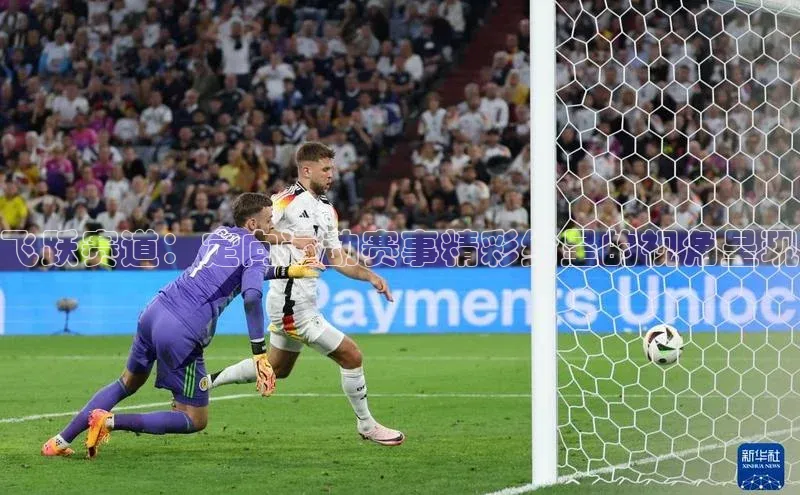 飞跃赛道：定向运动赛事精彩纷呈的视角呈现