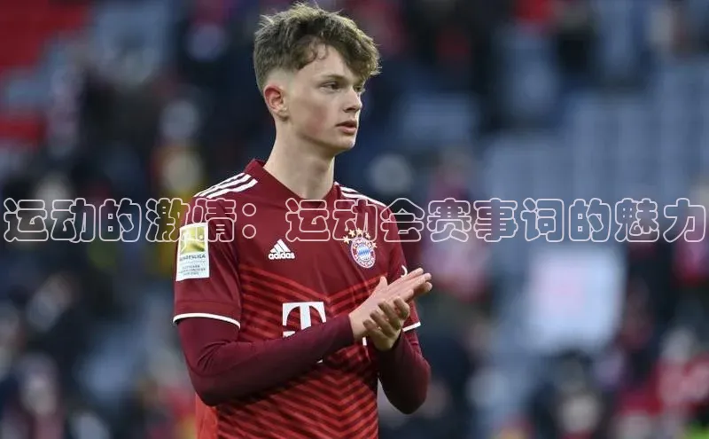 BB贝博艾弗森官方网站