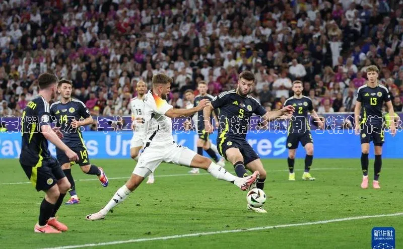 贝博平台客户端app